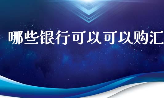 哪些银行可以可以购汇_https://www.qdlswl.com_股票_第1张