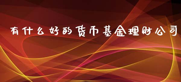 有什么好的货币基金理财公司_https://www.qdlswl.com_基金_第1张