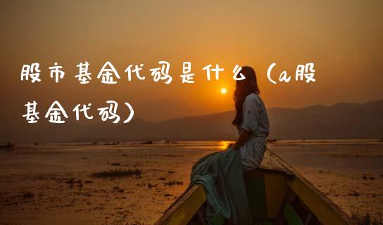 股市基金代码是什么（a股基金代码）_https://www.qdlswl.com_基金_第1张