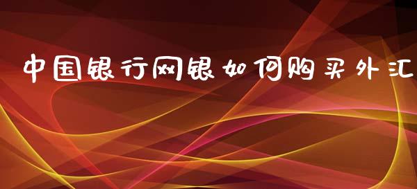 中国银行网银如何购买外汇_https://www.qdlswl.com_基金_第1张
