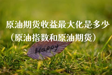 原油期货收益最大化是多少（原油指数和原油期货）_https://www.qdlswl.com_股指_第1张