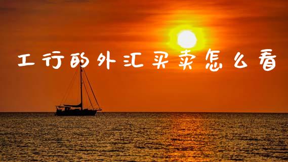 工行的外汇买卖怎么看_https://www.qdlswl.com_外盘_第1张