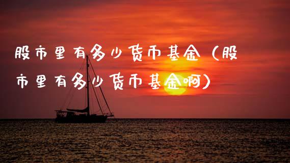 股市里有多少货币基金（股市里有多少货币基金啊）_https://www.qdlswl.com_理财_第1张