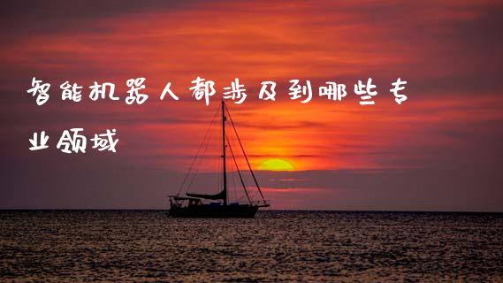 智能机器人都涉及到哪些专业领域_https://www.qdlswl.com_股票_第1张