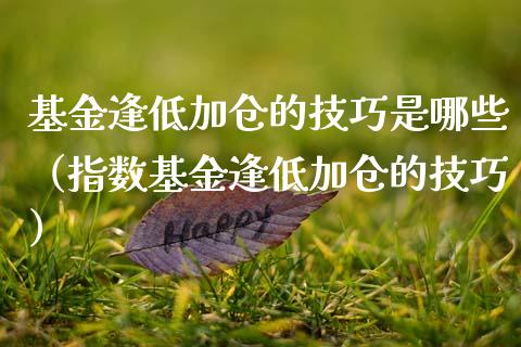 基金逢低加仓的技巧是哪些（指数基金逢低加仓的技巧）_https://www.qdlswl.com_基金_第1张