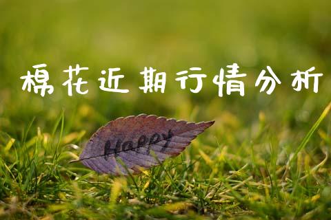 棉花近期行情分析_https://www.qdlswl.com_股指_第1张