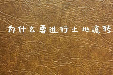 为什么要进行土地流转_https://www.qdlswl.com_股票_第1张