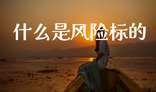 什么是风险标的_股指_第1张_青岛财经网 什么是风险标的_https://www.qdlswl.com_股指_第1张