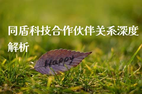 同盾科技合作伙伴关系深度解析_https://www.qdlswl.com_外盘_第1张