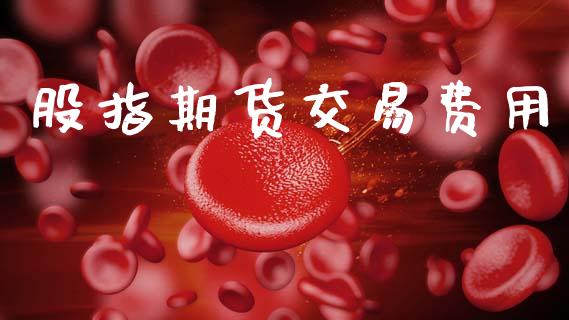 股指期货交易费用_https://www.qdlswl.com_直播_第1张