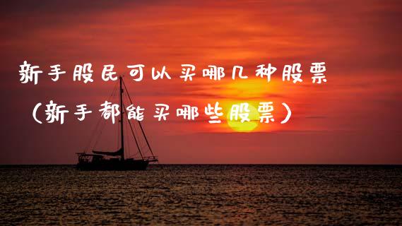 新手股民可以买哪几种股票（新手都能买哪些股票）_https://www.qdlswl.com_外盘_第1张