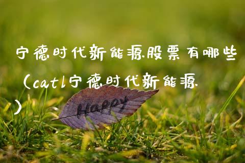 宁德时代新能源股票有哪些（catl宁德时代新能源）_https://www.qdlswl.com_外盘_第1张