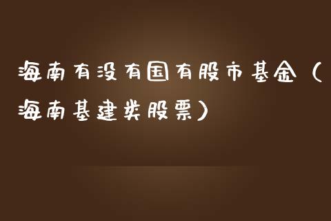 海南有没有国有股市基金（海南基建类股票）_https://www.qdlswl.com_理财_第1张