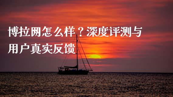 博拉网怎么样？深度评测与用户真实反馈_https://www.qdlswl.com_基金_第1张