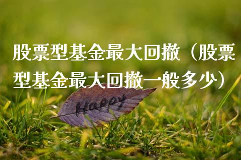 股票型基金最大回撤（股票型基金最大回撤一般多少）_https://www.qdlswl.com_理财_第1张