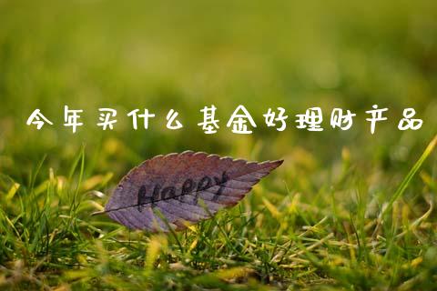 今年买什么基金好理财产品_https://www.qdlswl.com_理财_第1张