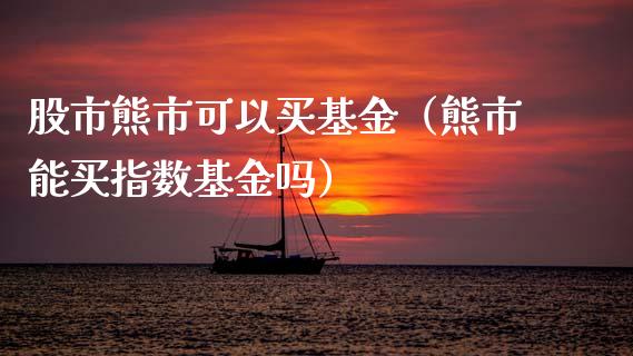 股市熊市可以买基金（熊市能买指数基金吗）_https://www.qdlswl.com_基金_第1张
