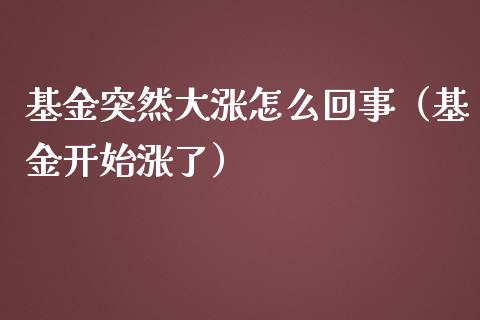 基金突然大涨怎么回事（基金开始涨了）_https://www.qdlswl.com_基金_第1张
