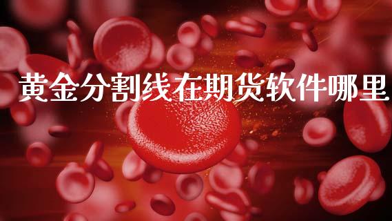 黄金分割线在期货软件哪里_https://www.qdlswl.com_期货_第1张