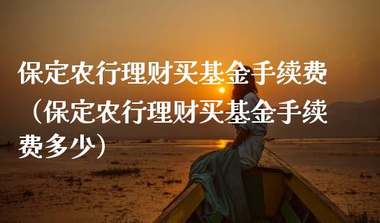 保定农行理财买基金手续费（保定农行理财买基金手续费多少）_https://www.qdlswl.com_基金_第1张