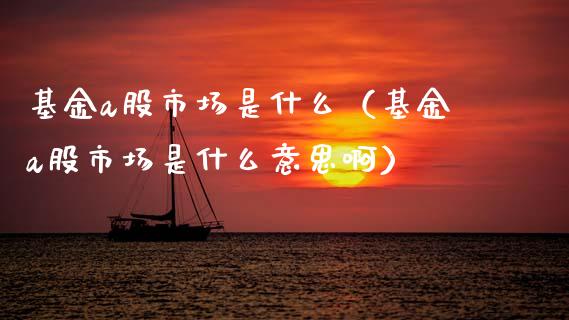 基金a股市场是什么（基金a股市场是什么意思啊）_https://www.qdlswl.com_基金_第1张
