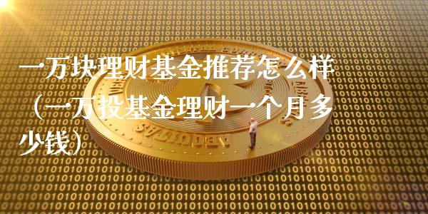 一万块理财基金推荐怎么样（一万投基金理财一个月多少钱）_https://www.qdlswl.com_基金_第1张