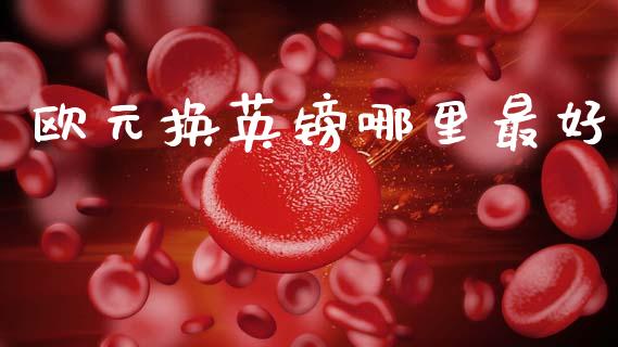 欧元换英镑哪里最好_https://www.qdlswl.com_外盘_第1张