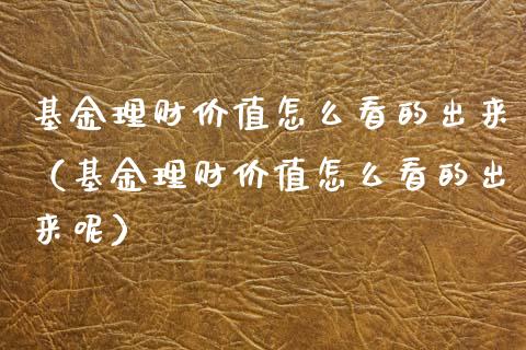 基金理财价值怎么看的出来（基金理财价值怎么看的出来呢）_https://www.qdlswl.com_理财_第1张