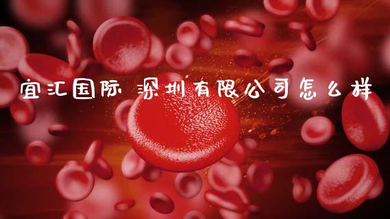 宜汇国际 深圳有限公司怎么样_https://www.qdlswl.com_外盘_第1张