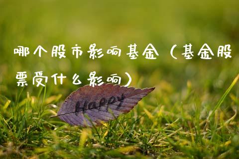 哪个股市影响基金（基金股票受什么影响）_https://www.qdlswl.com_基金_第1张