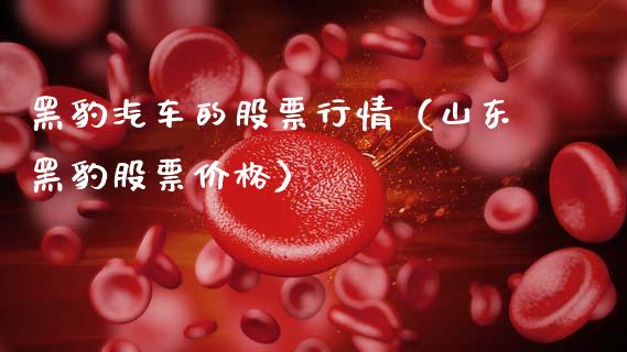 黑豹汽车的股票行情（山东黑豹股票价格）_https://www.qdlswl.com_外盘_第1张