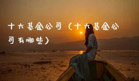 十大基金公司（十大基金公司有哪些）_https://www.qdlswl.com_基金_第1张