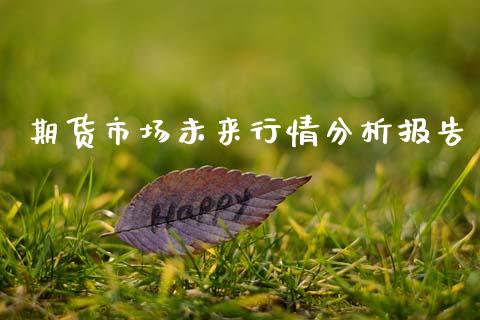 期货市场未来行情分析报告_https://www.qdlswl.com_期货_第1张