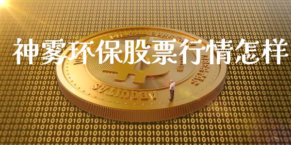 神雾环保股票行情怎样_https://www.qdlswl.com_股票_第1张