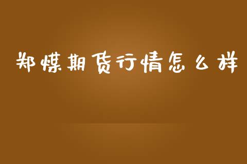 郑煤期货行情怎么样_https://www.qdlswl.com_股指_第1张