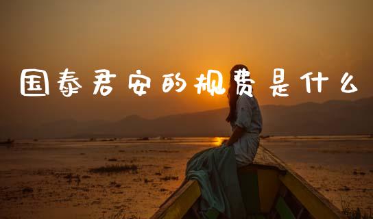 国泰君安的规费是什么_https://www.qdlswl.com_股指_第1张