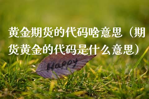 黄金期货的代码啥意思（期货黄金的代码是什么意思）_https://www.qdlswl.com_期货_第1张