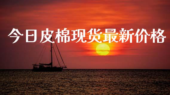 今日皮棉现货最新价格_https://www.qdlswl.com_股指_第1张
