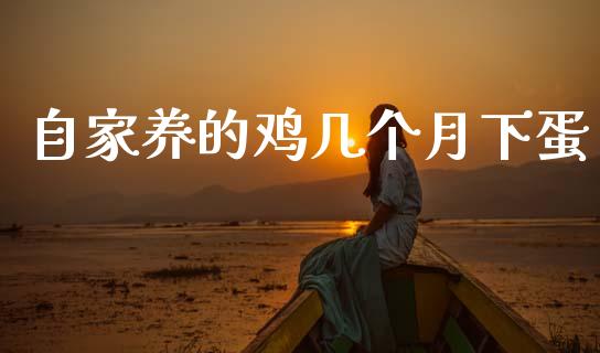 自家养的鸡几个月下蛋_https://www.qdlswl.com_股指_第1张