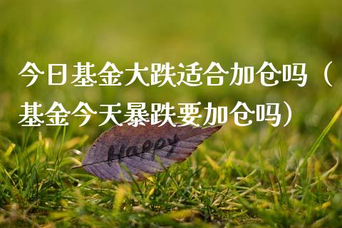 今日基金大跌适合加仓吗（基金今天暴跌要加仓吗）_https://www.qdlswl.com_理财_第1张