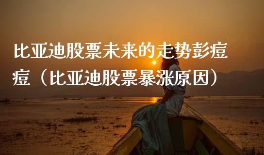 比亚迪股票未来的走势彭痘痘（比亚迪股票暴涨原因）_https://www.qdlswl.com_内盘_第1张