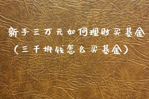 新手三万元如何理财买基金（三千块钱怎么买基金）_https://www.qdlswl.com_理财_第1张