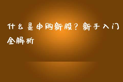 什么是申购新股？新手入门全解析_https://www.qdlswl.com_基金_第1张