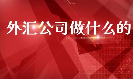 外汇公司做什么的_https://www.qdlswl.com_股指_第1张