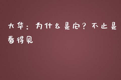 大华：为什么是它？不止是看得见_https://www.qdlswl.com_理财_第1张
