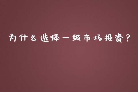 为什么选择一级市场投资？_https://www.qdlswl.com_内盘_第1张