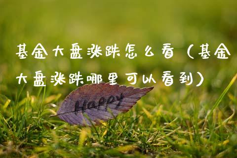 基金大盘涨跌怎么看（基金大盘涨跌哪里可以看到）_https://www.qdlswl.com_理财_第1张