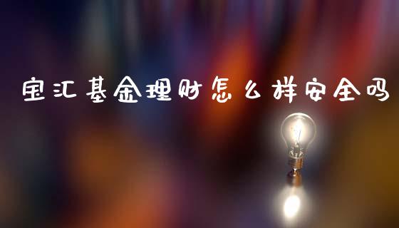 宝汇基金理财怎么样安全吗_https://www.qdlswl.com_理财_第1张
