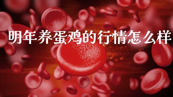 明年养蛋鸡的行情怎么样_https://www.qdlswl.com_期货_第1张