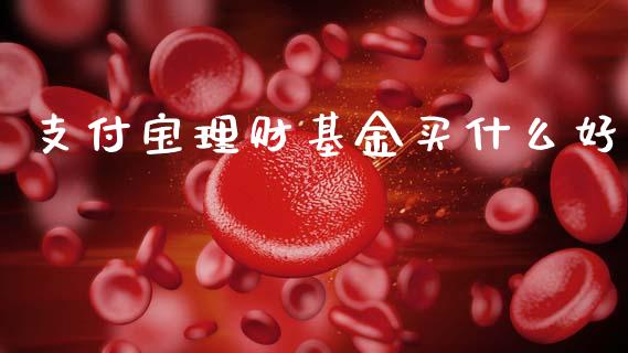 支付宝理财基金买什么好_https://www.qdlswl.com_基金_第1张